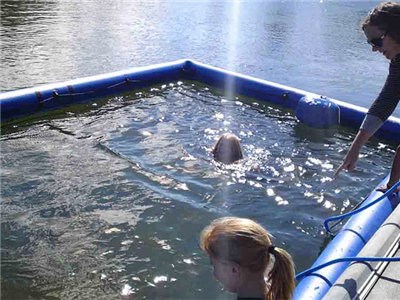 Inflatable Netting for Floating Swimming Pool BY-SP-050